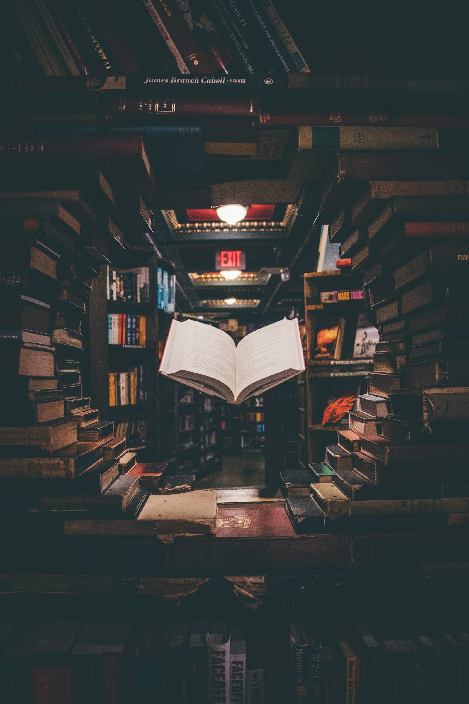 Open book with flowers and stones